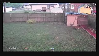 Dog Repeatedly Injured By Falling Tree Branches Finally Safe Thanks To Small Business