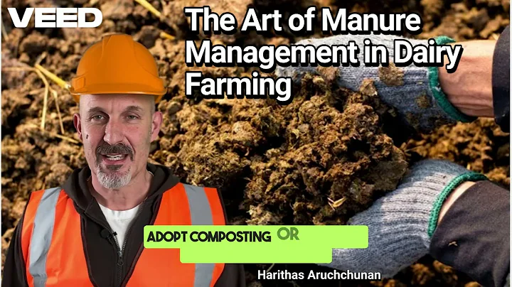 The Art of Manure Management in Dairy Farming