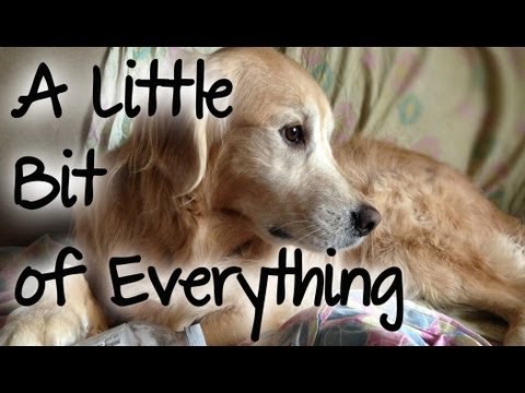 do it yourself pest control coupon A Little Bit Of Everything