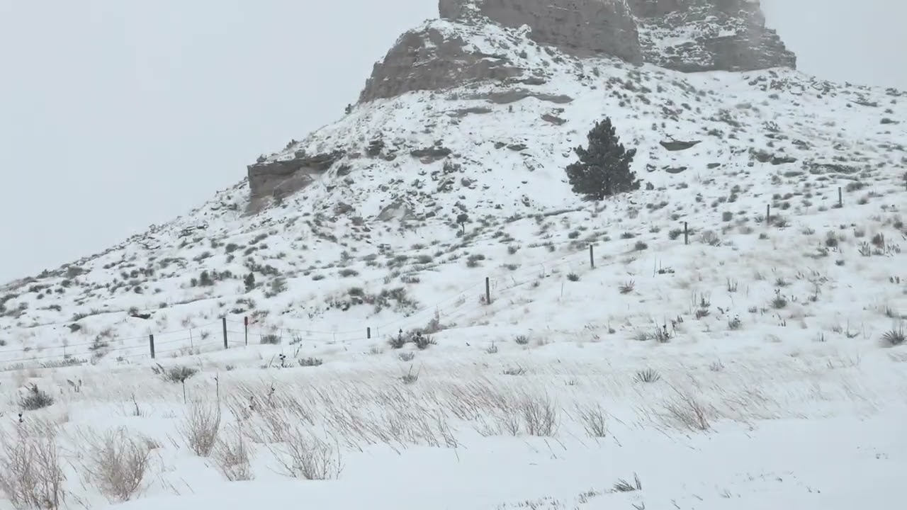 The horrifying truth about Wyoming road conditions 😱