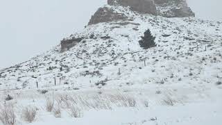 The horrifying truth about Wyoming road conditions 😱