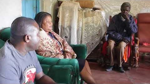 UNDP supports sustainable forest management in Zambia