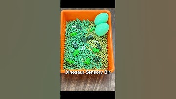 Dinosaur Sensory Play Bin