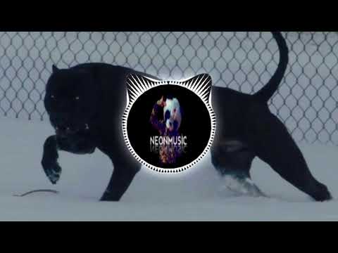 Ape Drums-Like This