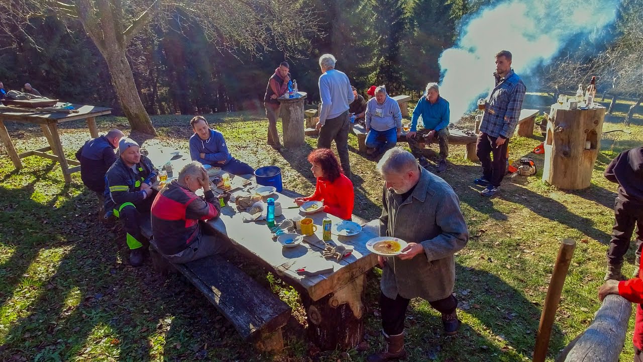 Dřewofest 2024 -  příprava dřeva na topení. Čerstvé dřevo je potřeba co nejrychleji zpracovat.