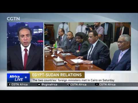 Foreign ministers of Egypt and Sudan meet in Cairo