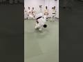  fun with kata guruma variations at the sobell judo club judo judoka judobasics bjj