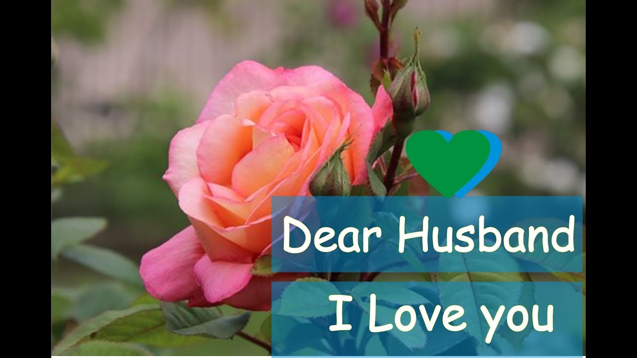 Dear Husband I Love You  Love Message For Husband  Whatsapp Status for Husband