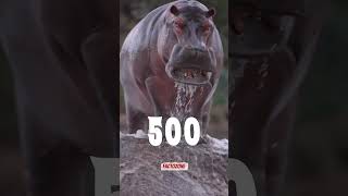 Who Is The World&#39;s Most Dangerous Animal | #shorts  #trending  #facts