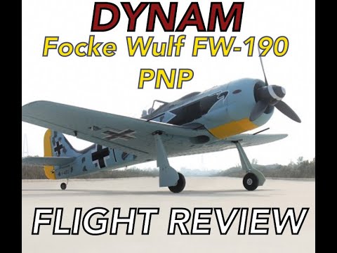 dynam fw 190