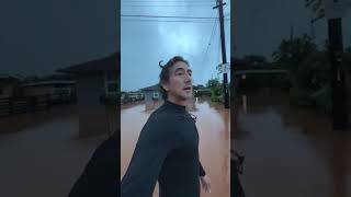 120-Year-Old Dam in Oahu About to Burst as Residents Experience Worst Flooding in 20 Years #shorts