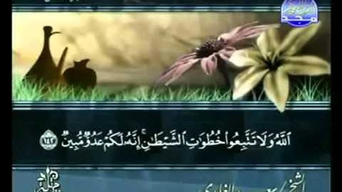 القرآن الكريم   الجزء الثامن   تلاوة سعد الغامدي   8