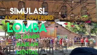 Simulasi Lomba Lovebird, Terbukti Ampuh Melatih Mental Gacoan Anda Buat Menjadi Juaraa!!!