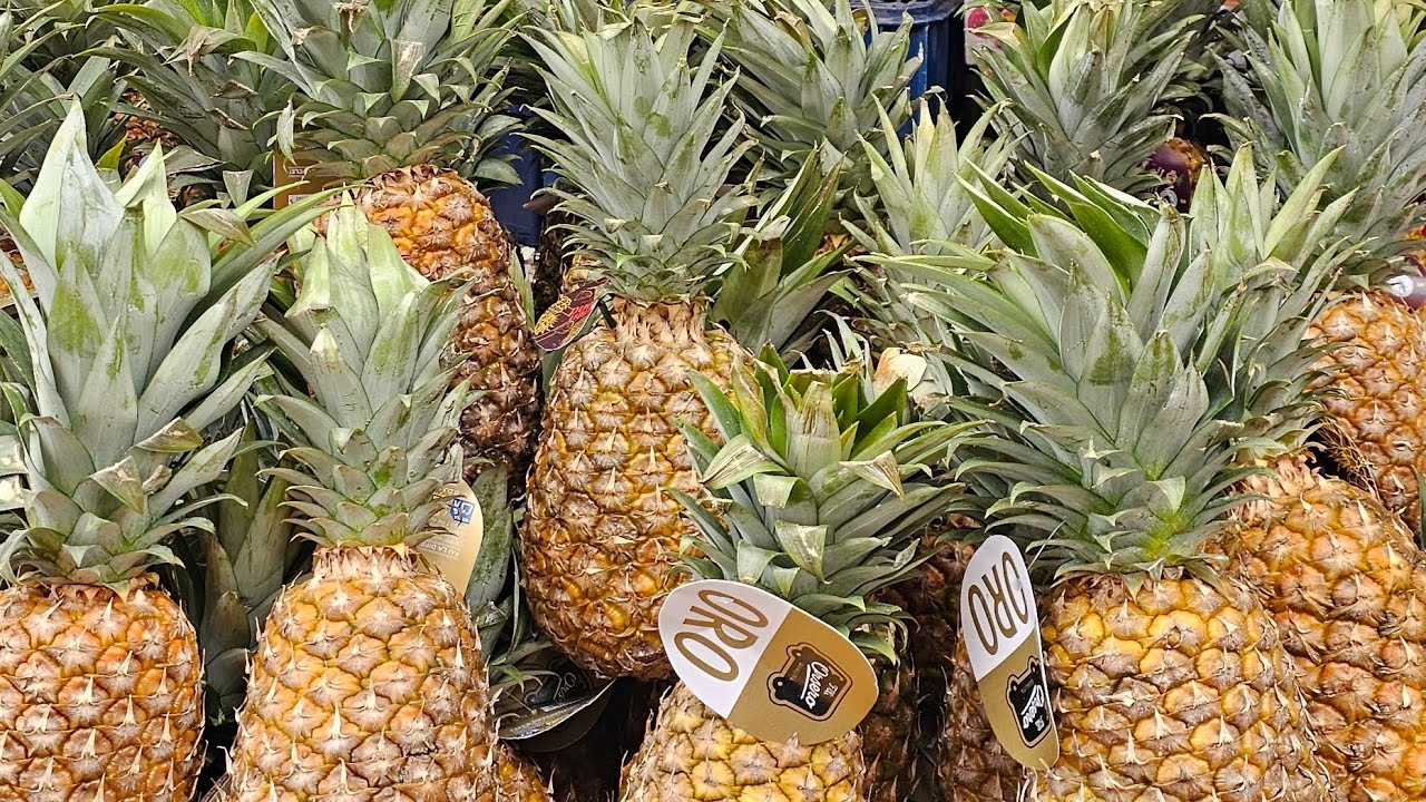 🇦🇩 🛒🍎 Piața Centrală Chișinău | Der Zentrale Markt von Chișinău | The Central Market of Chișinău 🇲🇩✨