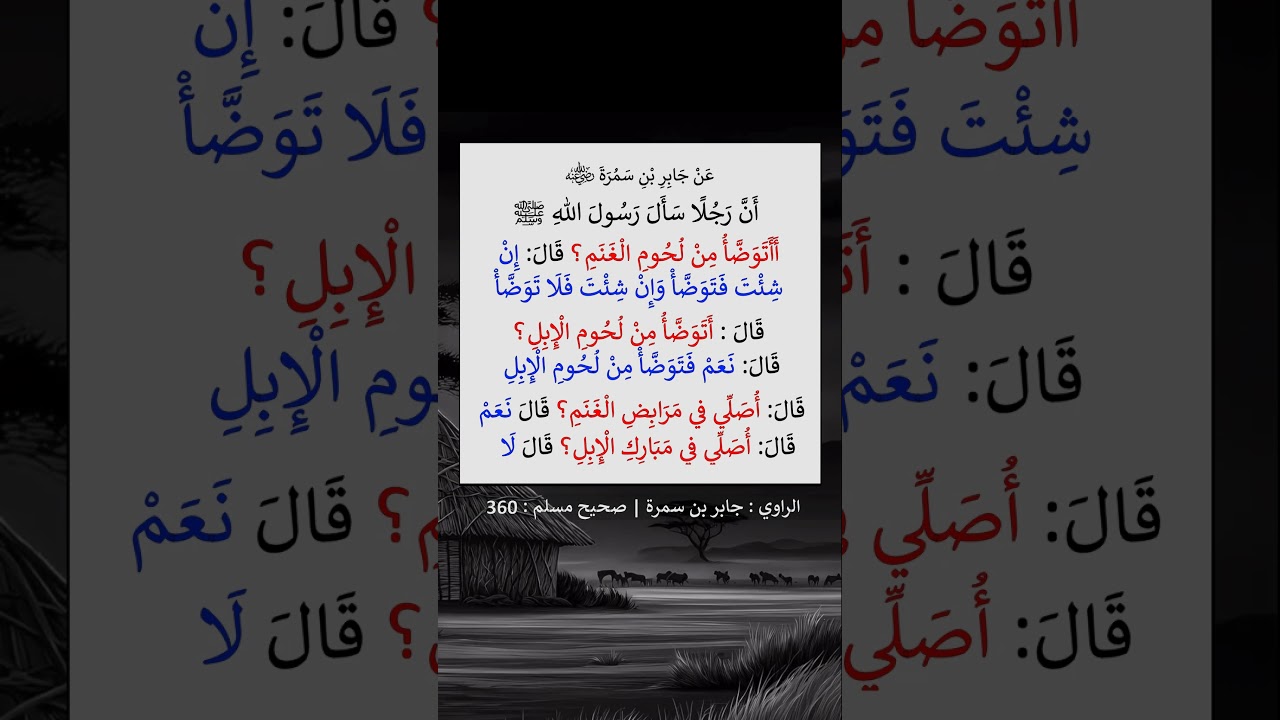 أَتوضأ من لحوم الإبل ؟  الشيخ عبد الرزاق البدر