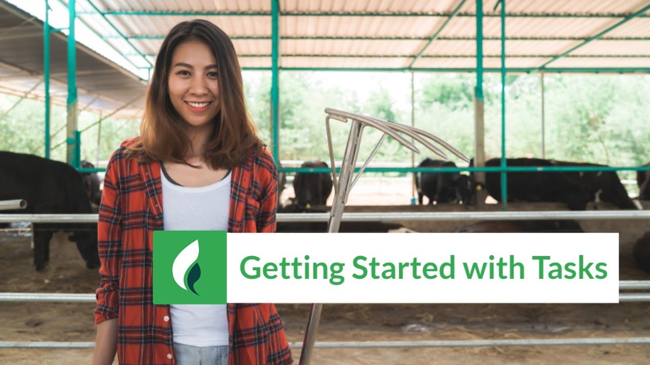 Getting Started with Tasks - YouTube