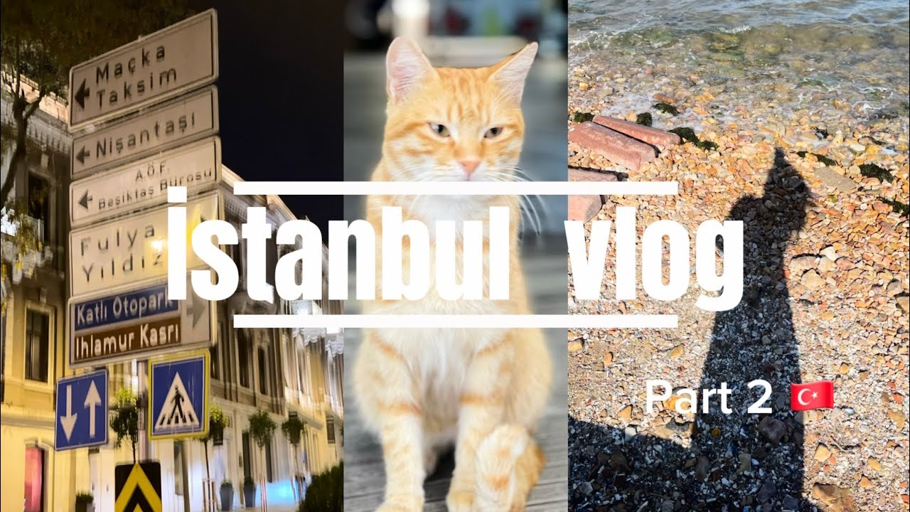 فلوق اسطنبول 🇹🇷 part 2 | مول جواهر | galata port | حضرنا حفلة  Merve 😍 Özbey 