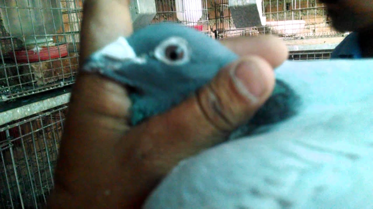 Visita jose Luis Ascencio parte 2