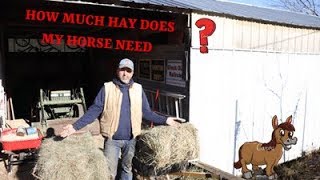 HOW MUCH HAY SHOULD I FEED MY HORSE ( 2020 )  #Hay #Feed #horses