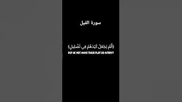 قرآن كريم خلفية سوداء للمونتاج - سورة الفيل #خلفية_قرآن #كروما_سوداء #اكسبلور #شاشه_سوداء