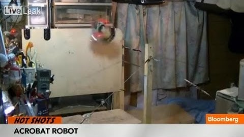 Acrobat Robot Goes Viral With Perfect Jump Landing