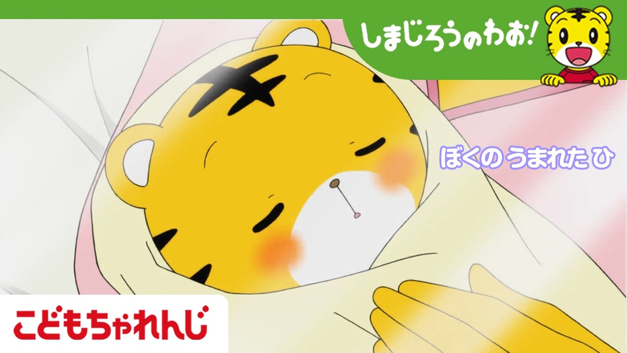 しまじらう♡ 16分アニメ】ぼくの うまれた ひ│誕生日│おもいやり│しまじろうのわ