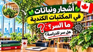 أشجار و نباتات في المكتبات الكندية ، ما السر؟