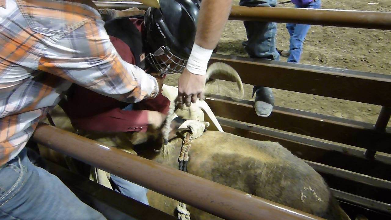 ブルライダー 芝原仁一郎 Japanese Bullrider Jinichiro Shibahara Youtube