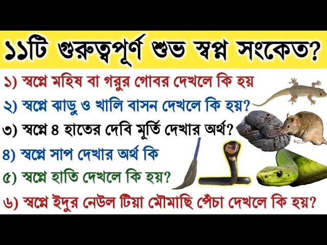 Ayolning qollarida kotarilgan porno video