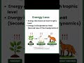 Energy Flow in an Ecosystem Explained | UGC NET EVS | MSc Environmental Science