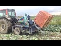 ASA-LIFT MK 1000 C Cabbage harvester / ASA-LIFT MK 1000 C Комбайн для уборки капусты