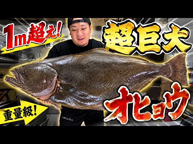 1m超えのオヒョウが想像を超える美味しさだった！！