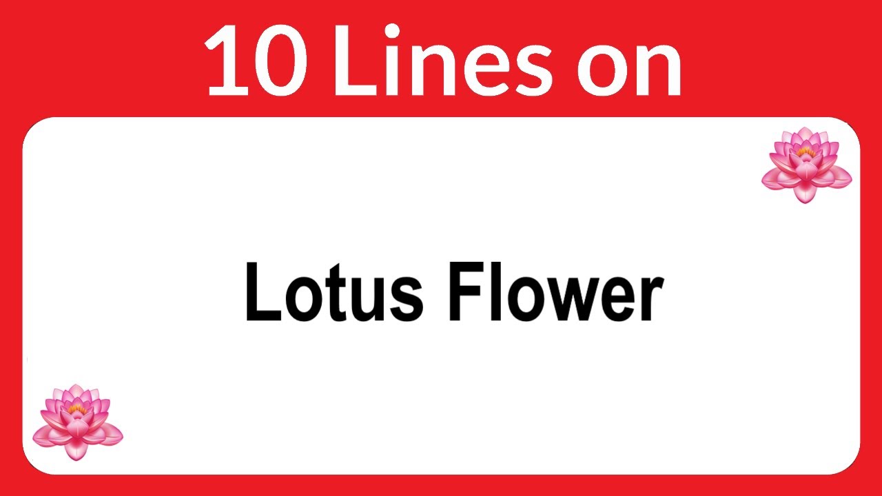 Lotus Flower Essay in English 10 Lines Lotus Flower Short Essay