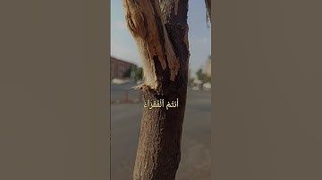 (يَٰٓأَيُّهَا ٱلنَّاسُ أَنتُمُ ٱلۡفُقَرَآءُ إِلَى ٱللَّهِۖ ...)🌍سورة {فاطر} محمد عبدالقادر