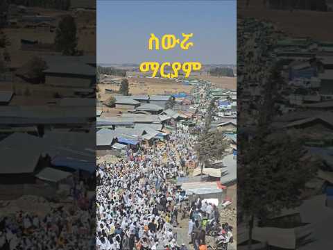 Orthodox Mother Mothermerry Mezmur Ethiopia ስውሯ ማርያም Siwura Mariyam