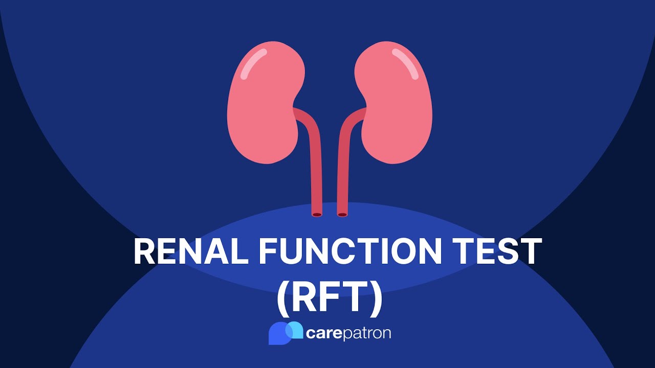renal-function-test-youtube