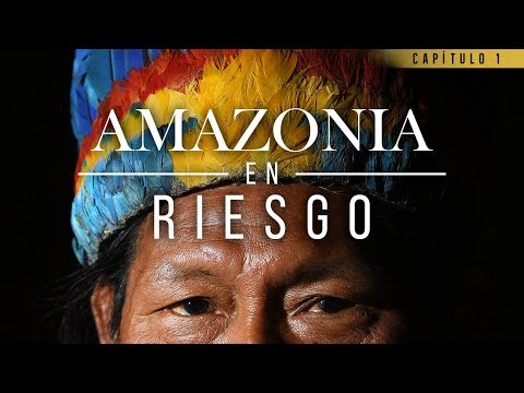 Amazonia en riesgo: una cuestión de actitud, pensamiento y palabra | El Espectador