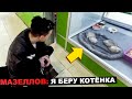 НА ЧТО ПОТРАТИТ 20 000 RUB МАЗЕЛЛОВ | КУПИЛ КОТА | НОВОЕ ШОУ СТИНТА