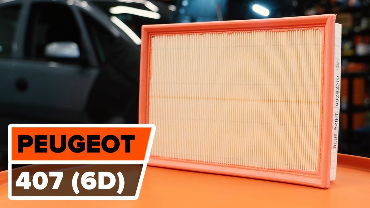 filtro aria citroen peugeot 1.6 hdi s3648a
