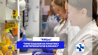 Практика в ветеринарной клинике КВЦ24. Россия