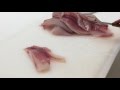 How to Fillet Tilapia