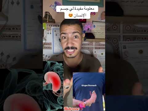 معلومة مفيدة لي جسم الإنسان الدار البيضاء أكادير المغرب معلومات وصفات قطر السعودية