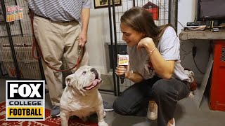 Charlotte Wilder meets UGA, the Georgia Bulldogs mascot | Ultimate College Football Road Trip