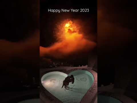Happy New Year