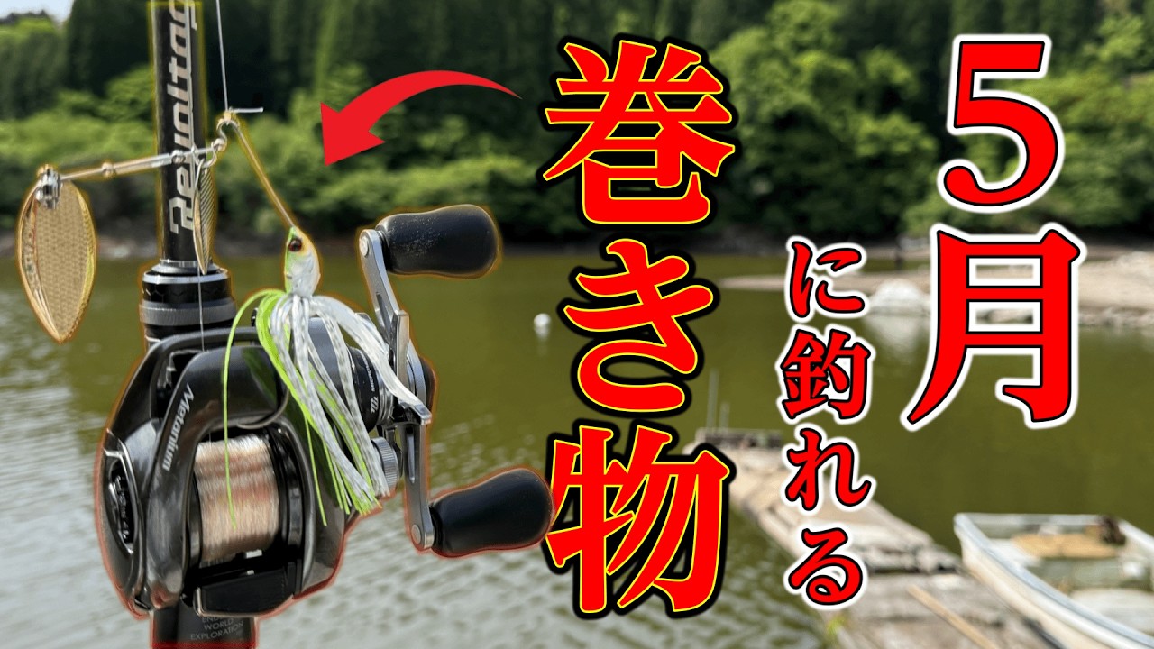5月に釣れる魔法のスピナーベイト…今、使わないと損です。