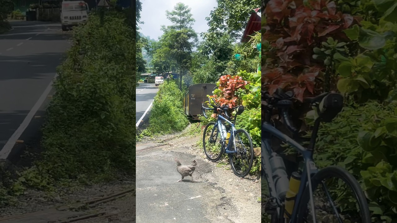 Z Crossing | Hamro Train 🚂 