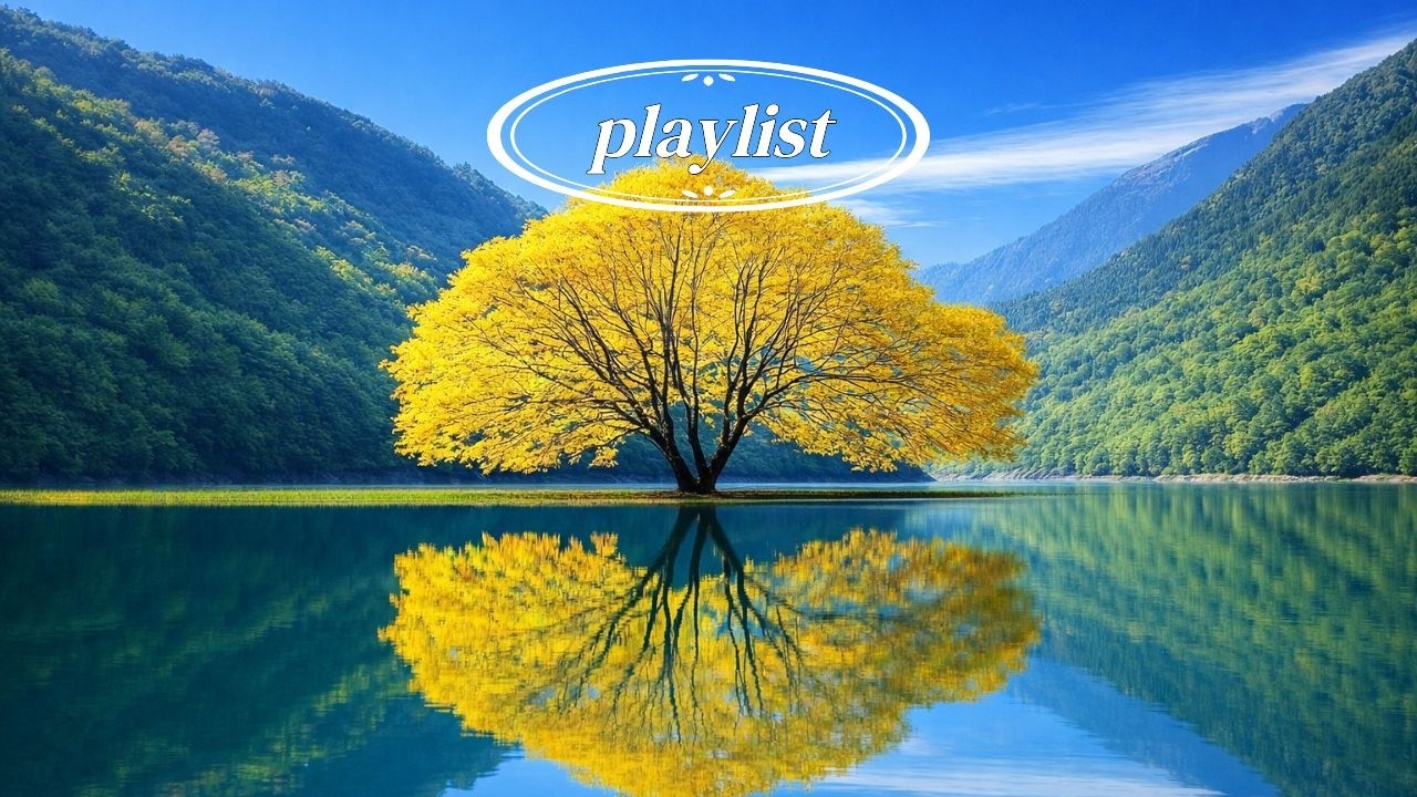 Playlist 🌸첫곡 듣는 순간 분위기 짱 /lo-fi hip hop 광고 없음.