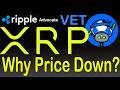 Ripple Advocate VET explains XRP Price Value Convergence, Evernorth is XRP Allocation Platform, FLR