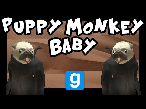 puppy monkey baby remix puppy monkey baby sparta remix funnydog tv puppy monkey baby remix puppy monkey baby sparta remix funnydog tv