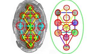 2373（1B）South Koreans Tree of Life in Mystery韓国の「謎の生命の木」byはやし浩司 Hiroshi Hayashi, Japan
